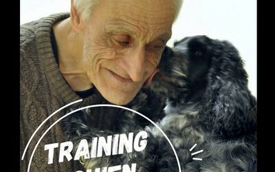 Vidéo-Training « Chien-médiateur » est disponible !