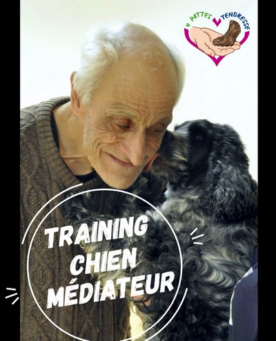 Vidéo-Training « Chien-médiateur » est disponible !