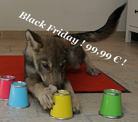 Black Friday !