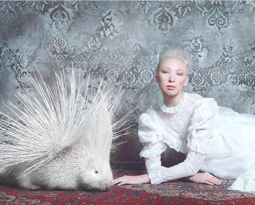 Photo-zoo-thérapie avec Anastasiya Dobrovolskaya