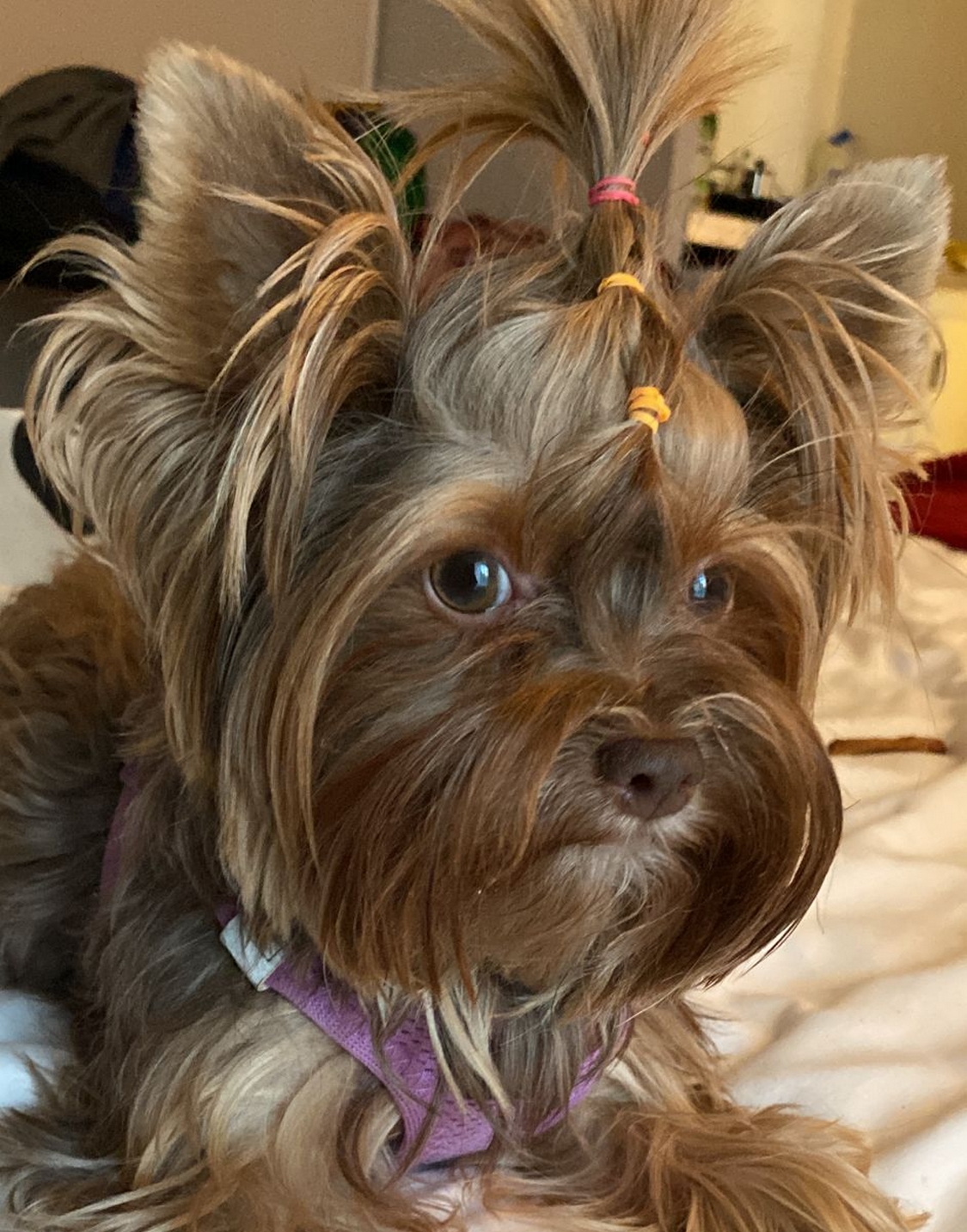 Fleur